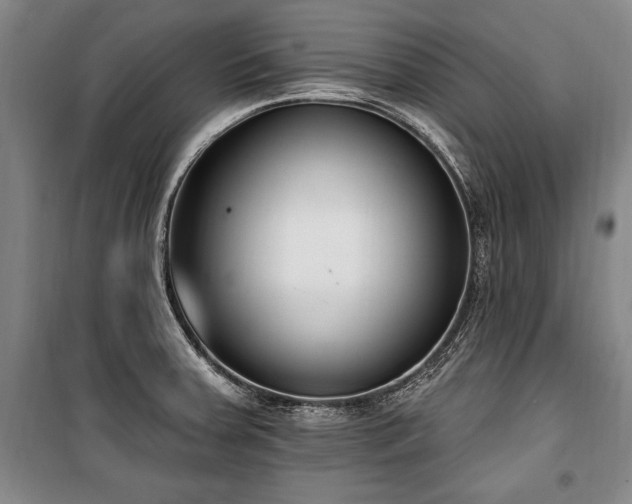 X0000101201379200806271340