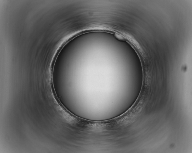 X0000101201380200806271340