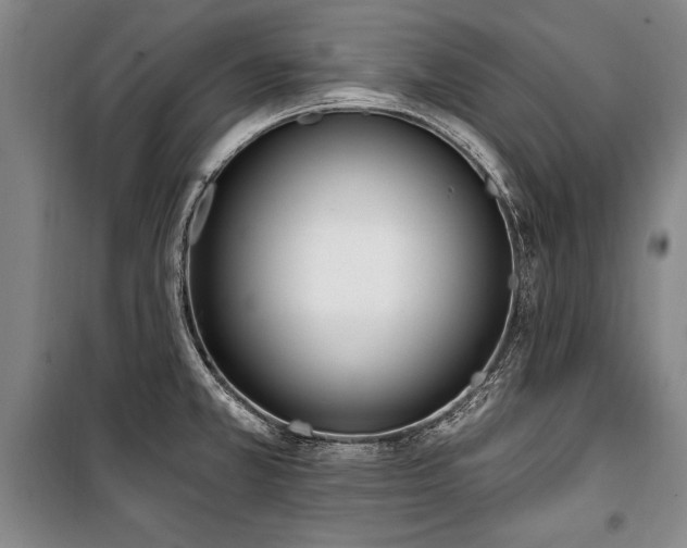 X0000101201381200806271340