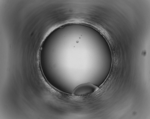 X0000101201382200806271340