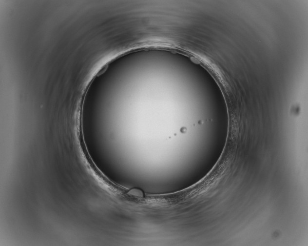 X0000101201383200806271340