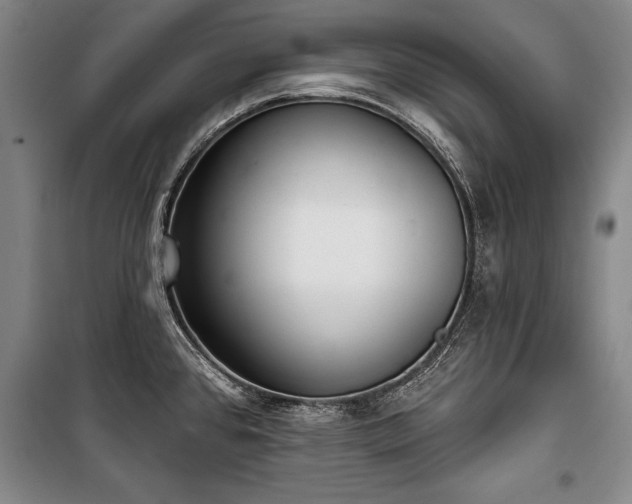X0000101201384200806271340