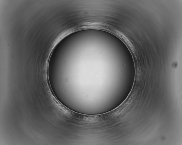 X0000101201386200806271340