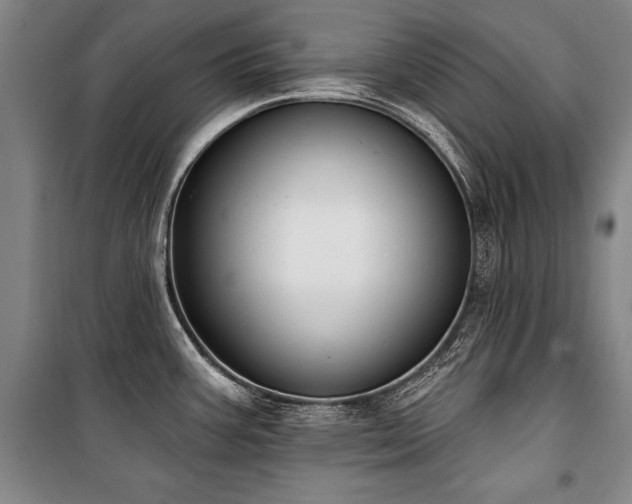 X0000101201387200806271340