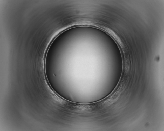 X0000101201388200806271340