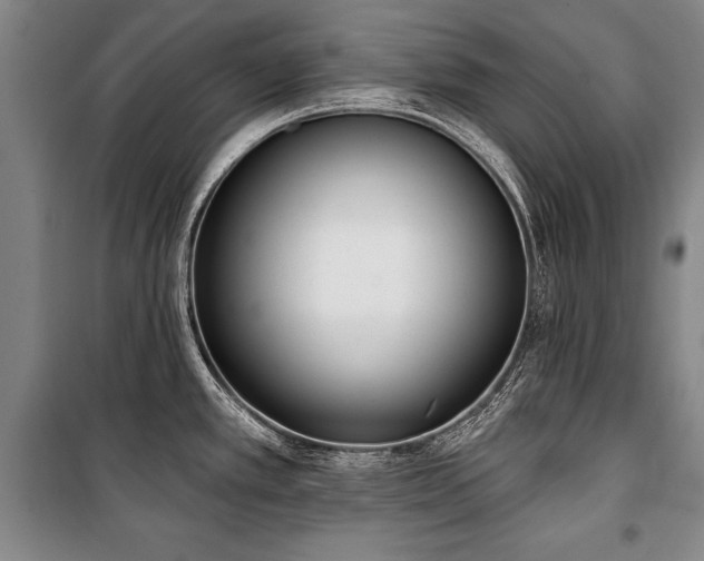 X0000101201389200806271340