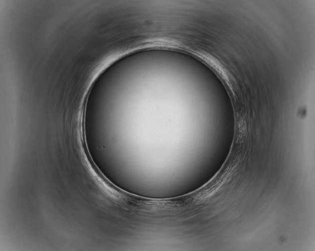 X0000101201391200806271340