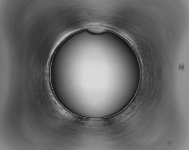 X0000101201392200806271340