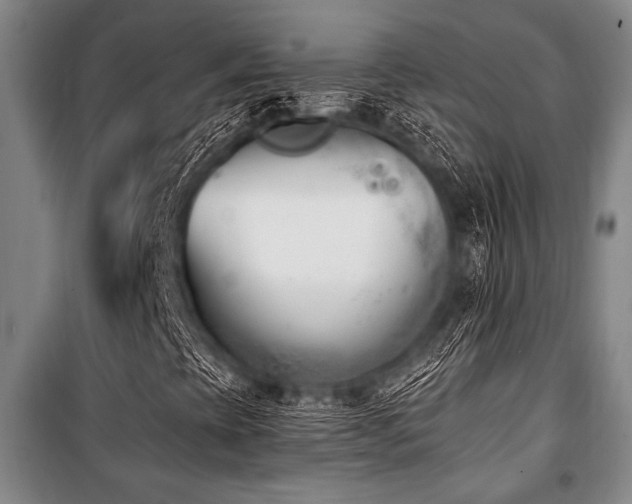 X0000101201393200806271339