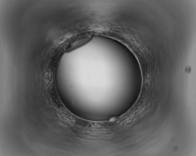 X0000101201398200806271340