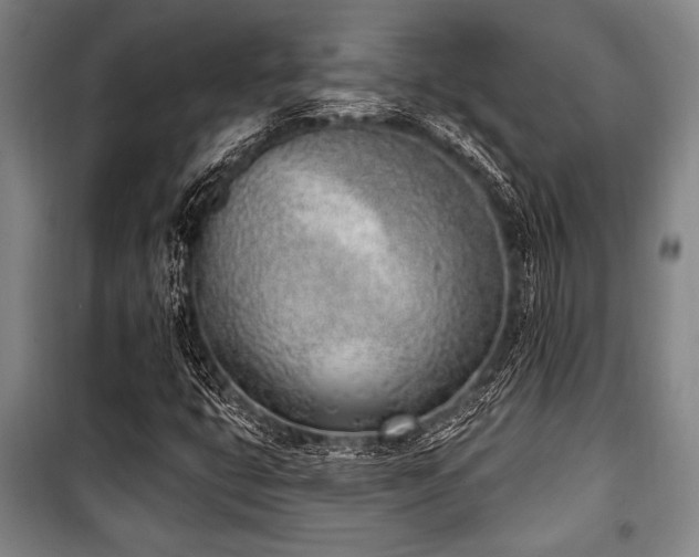 X0000101201399200806271340