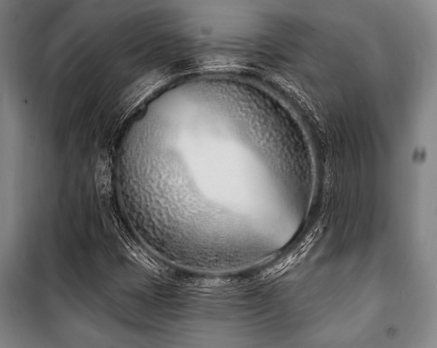X0000101201401200806271340