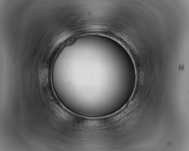 X0000101201402200806271340