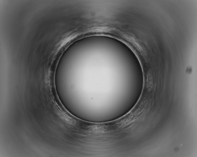 X0000101201404200806271340