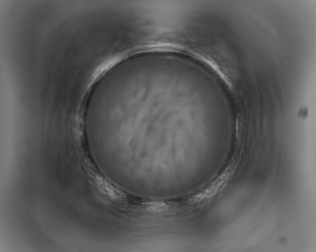 X0000101201405200806271340