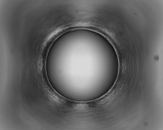X0000101201406200806271340
