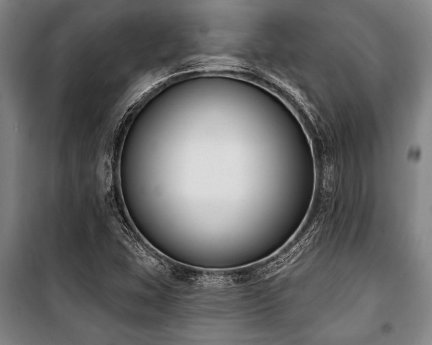 X0000101201407200806271340