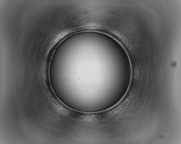 X0000101201410200806271340