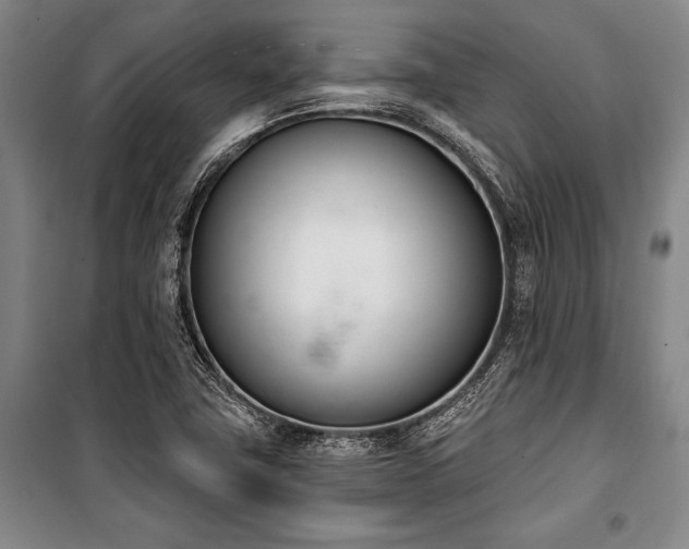 X0000101201411200806271340