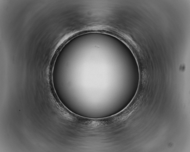 X0000101201412200806271340