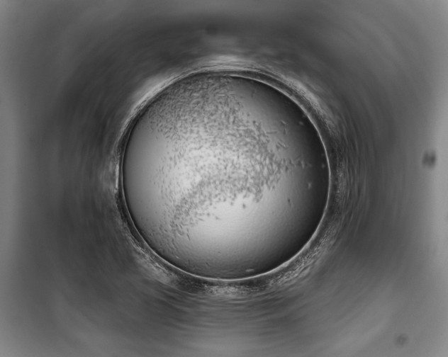 X0000101201413200806271340