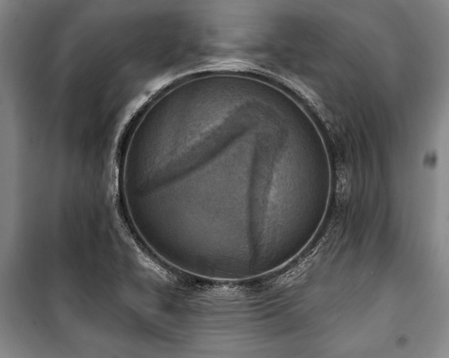 X0000101201414200806271340
