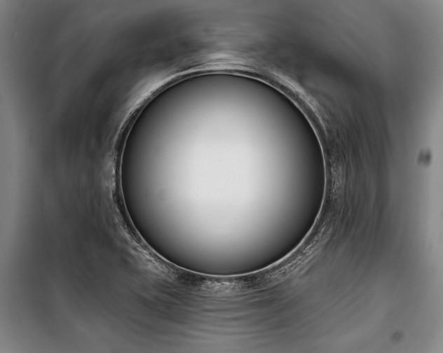 X0000101201415200806271340