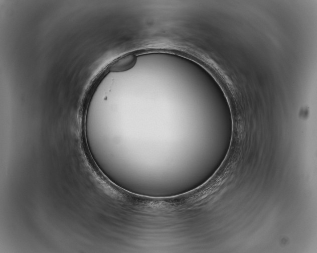 X0000101201416200806271340