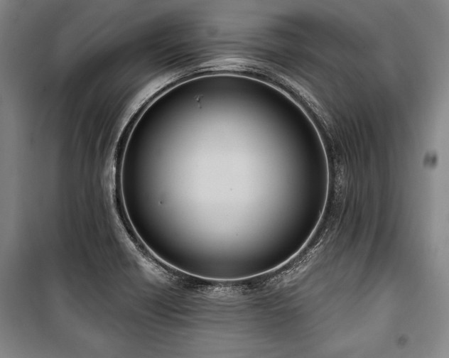 X0000101201418200806271340