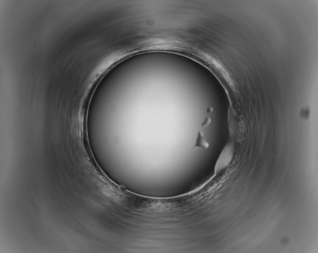X0000101201419200806271340