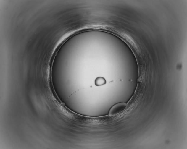 X0000101201420200806271340