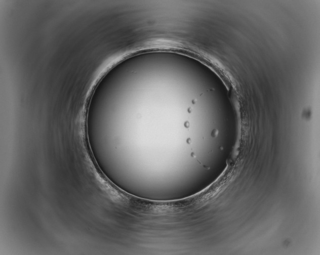 X0000101201421200806271340