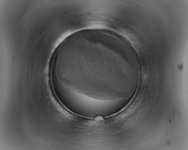 X0000101201422200806271340