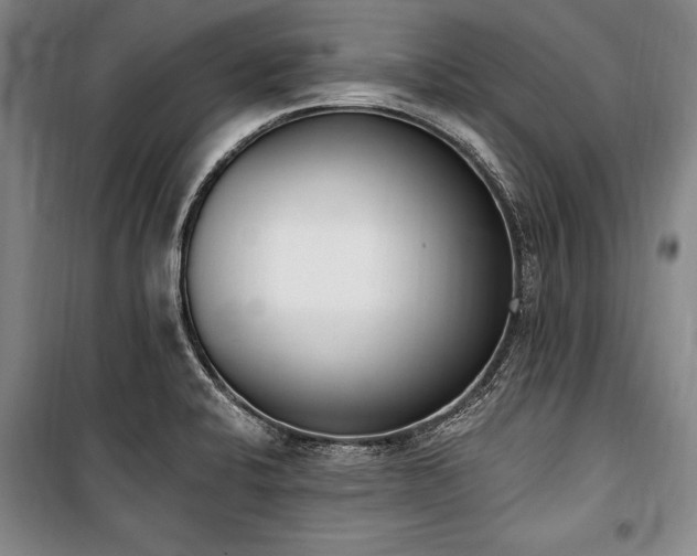 X0000101201424200806271340