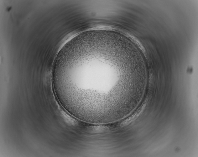 X0000101201425200806271340