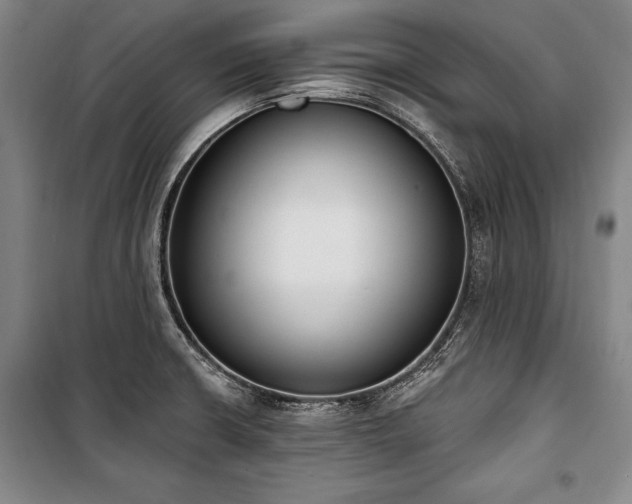 X0000101201426200806271340