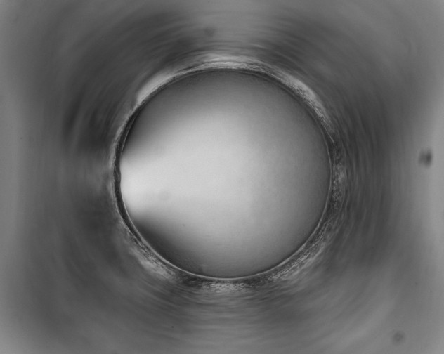X0000101201427200806271340