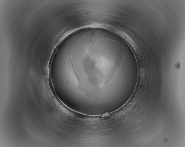X0000101201428200806271340