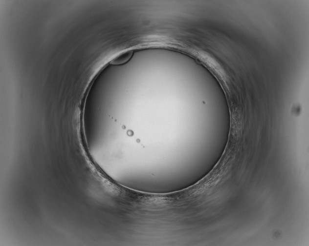 X0000101201431200806271340