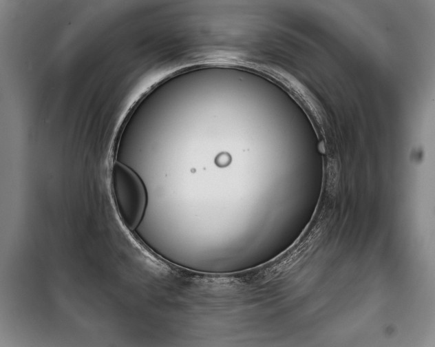 X0000101201432200806271340