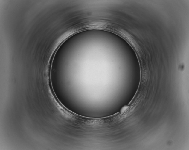 X0000101201434200806271340