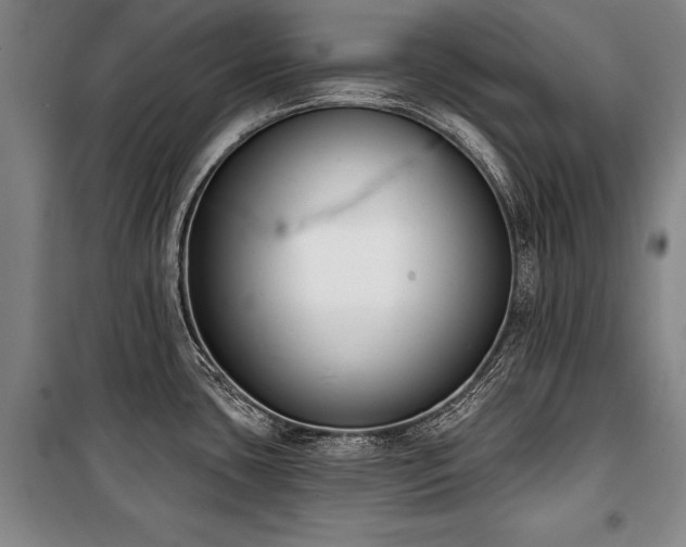 X0000101201435200806271340