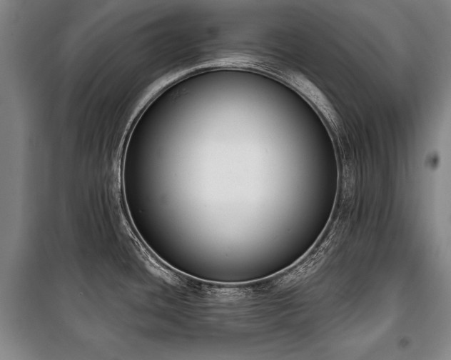 X0000101201436200806271340