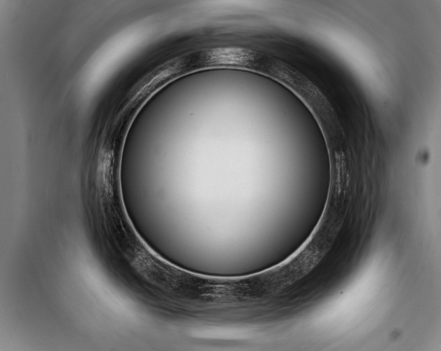 X0000101201438200806271340