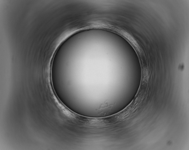 X0000101201439200806271340