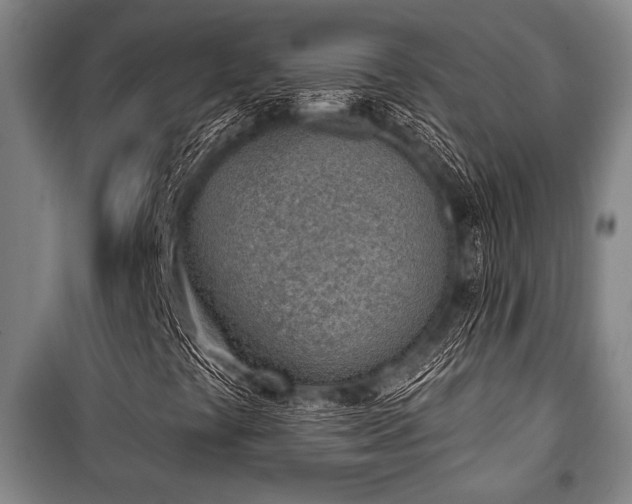 X0000101201441200806271339