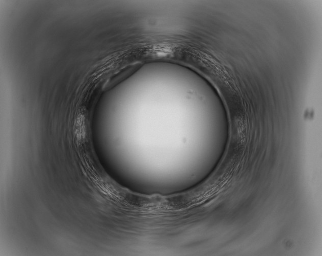 X0000101201442200806271339