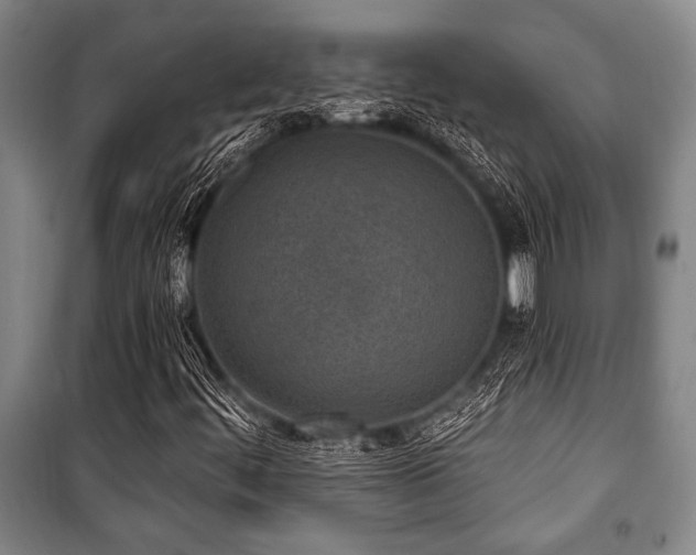 X0000101201444200806271339