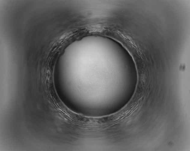 X0000101201445200806271339