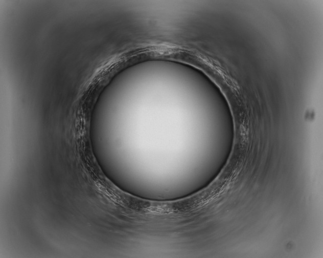 X0000101201447200806271339